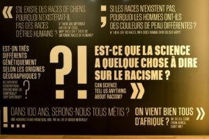 Le racisme en questions… Crédit photo : Jean-Christophe Domenech / Musée de l’Homme