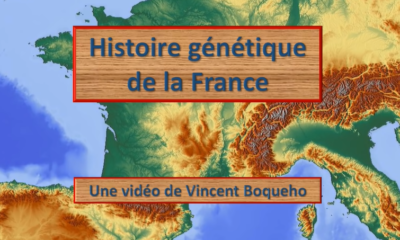 histoire génétique de la France